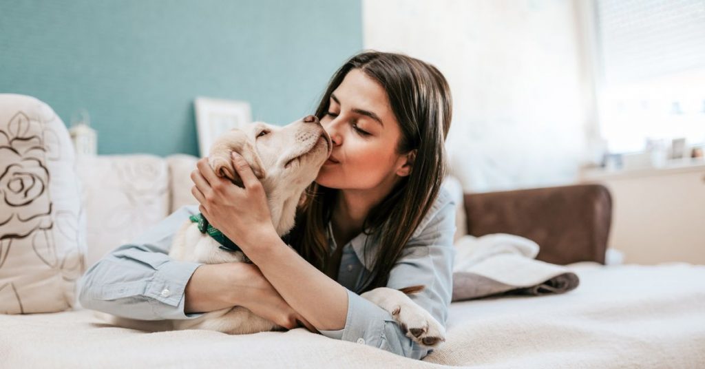 Renting with pets